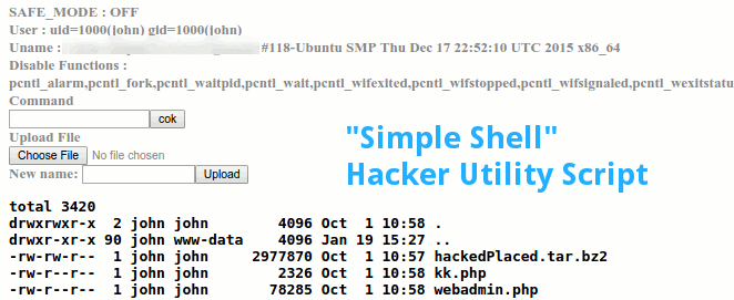 Example hacker "Simple Shell"