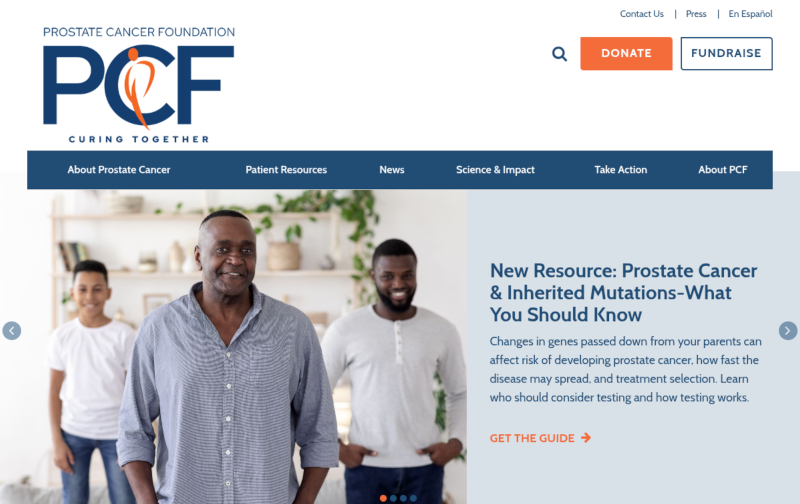 Screenshot of PCF's old website